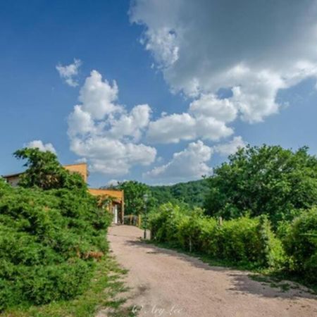 Gite Du Mont Plaisir Villa Chouvigny Eksteriør bilde