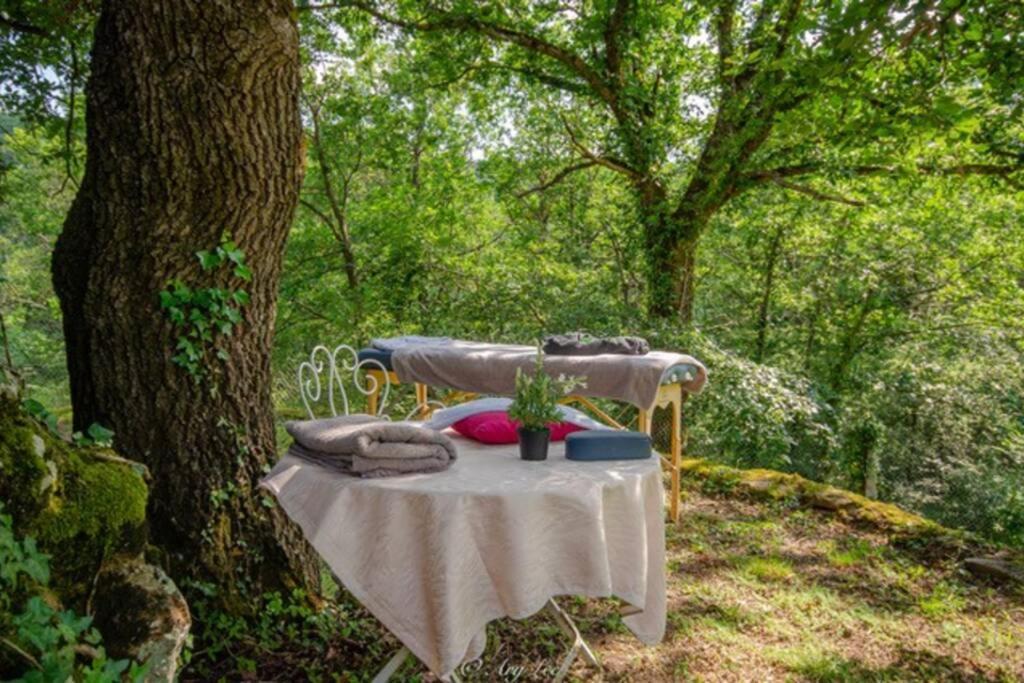 Gite Du Mont Plaisir Villa Chouvigny Eksteriør bilde